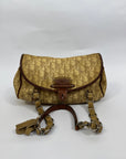 Dior Trotter Romantique Saddle Bag
