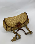 Dior Trotter Romantique Saddle Bag