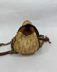 Dior Trotter Romantique Saddle Bag
