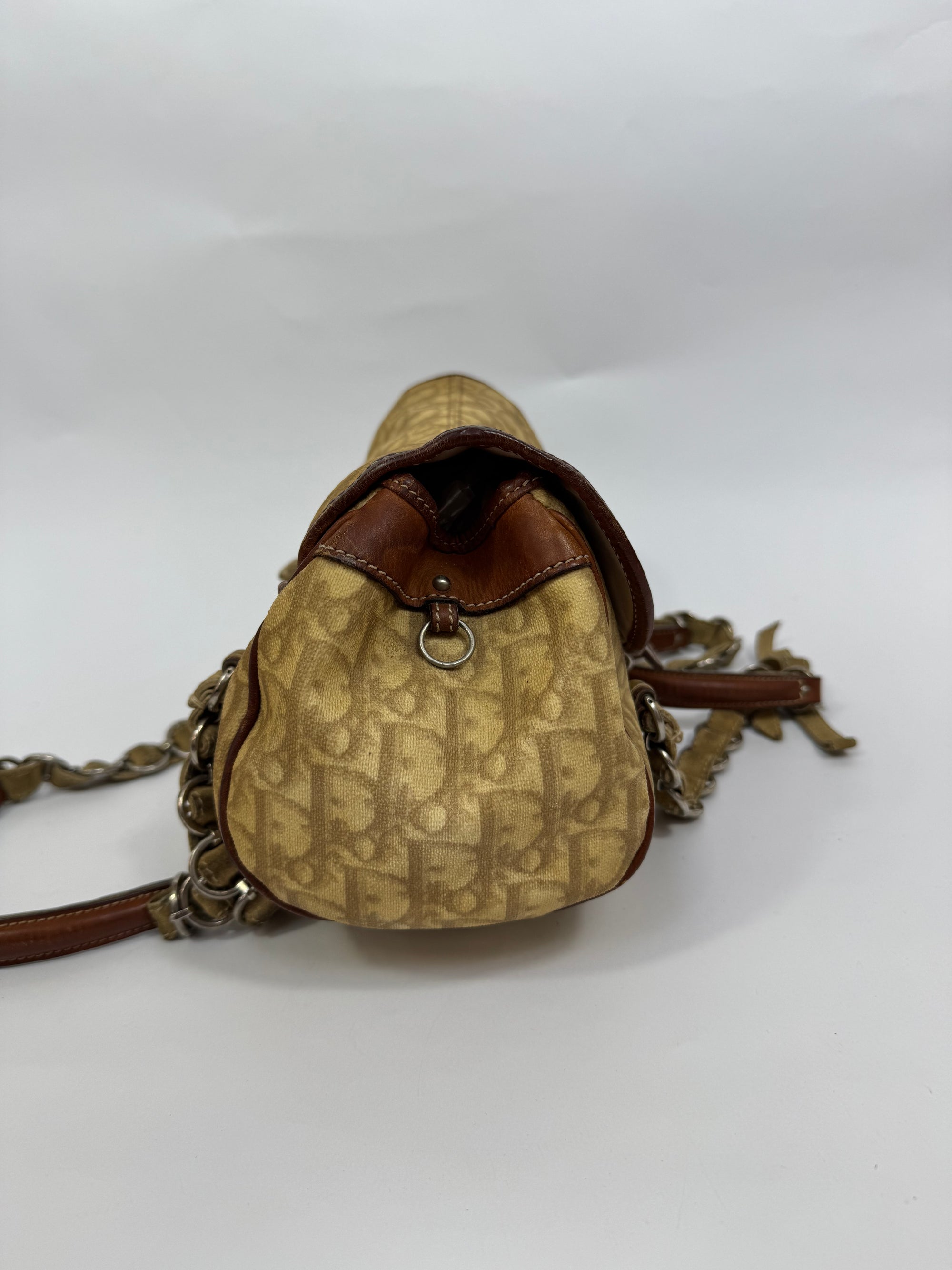 Dior Trotter Romantique Saddle Bag