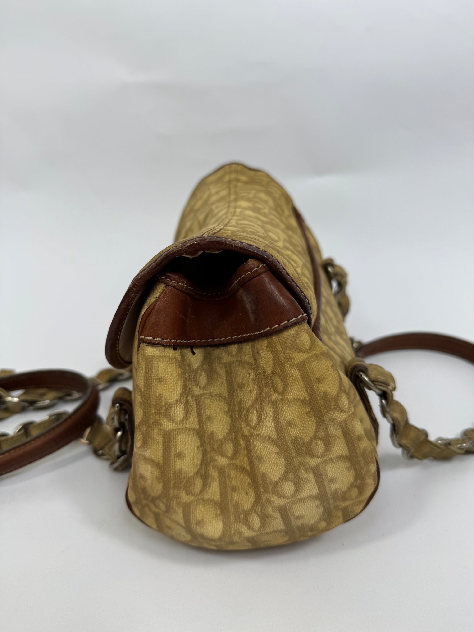 Dior Trotter Romantique Saddle Bag