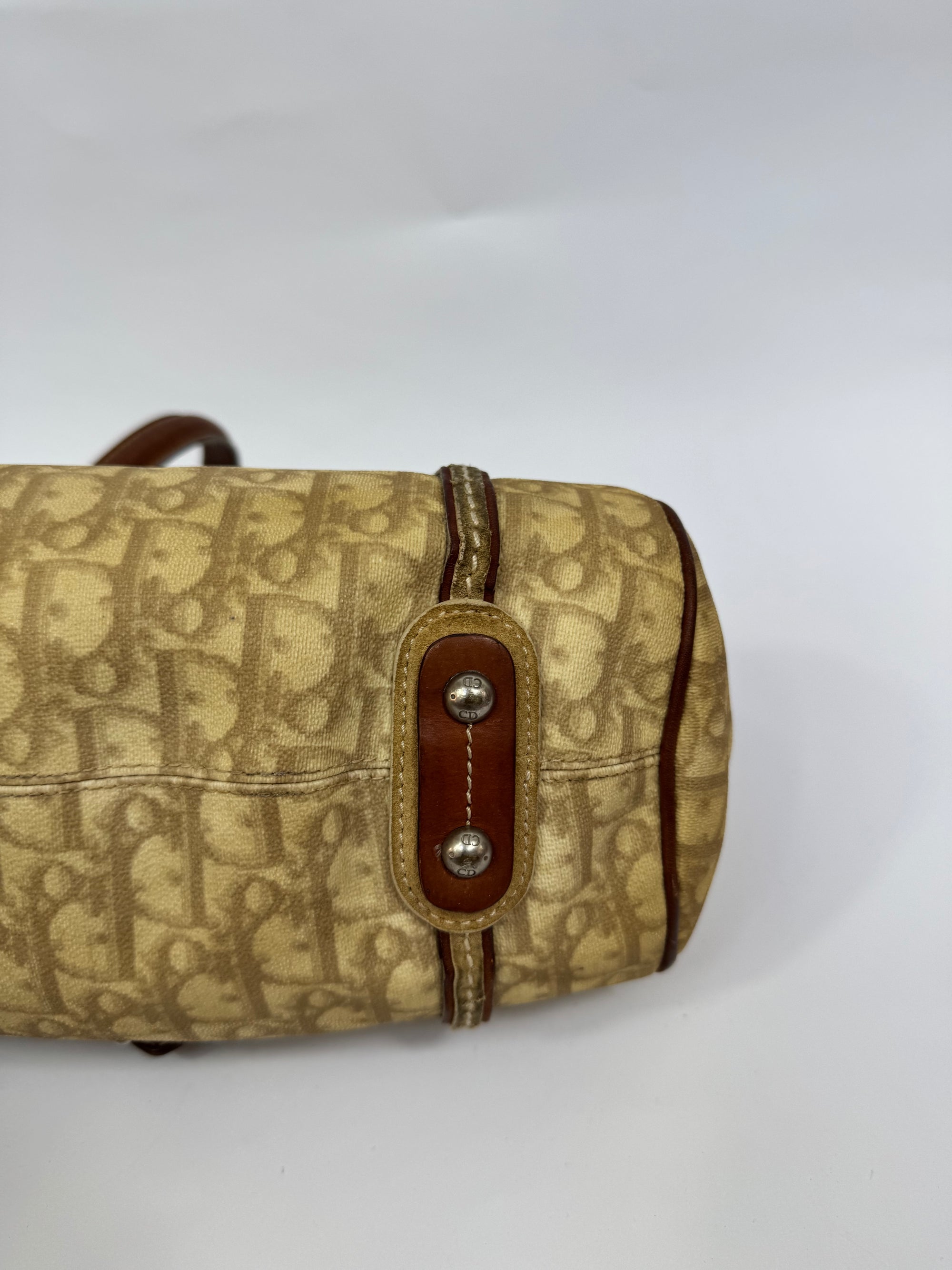 Dior Trotter Romantique Saddle Bag