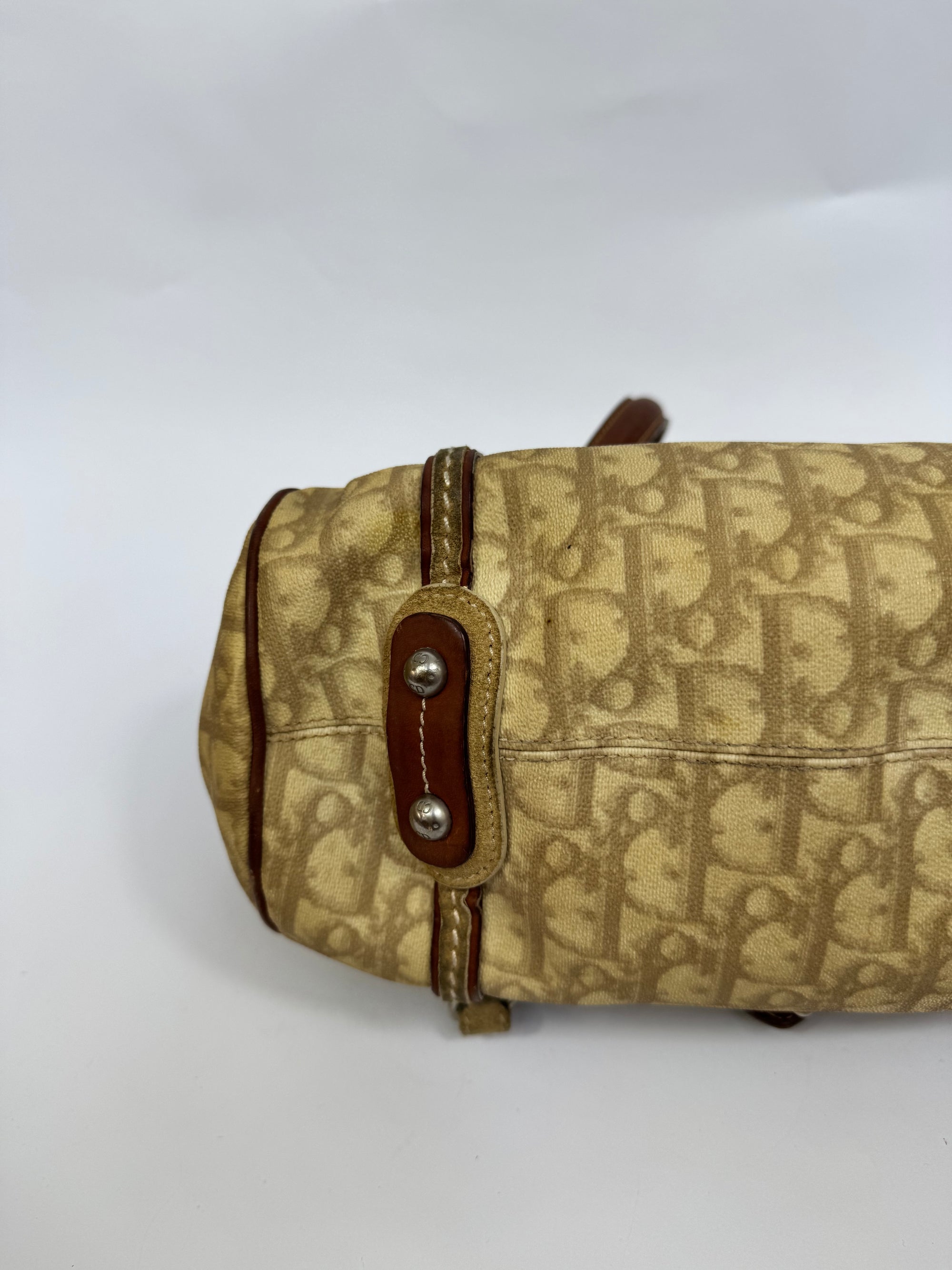 Dior Trotter Romantique Saddle Bag